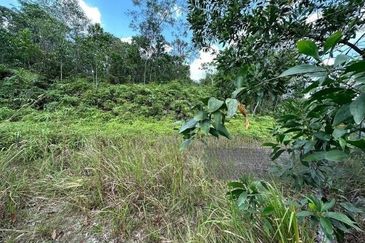 Housing Land at Bandar Sungai Long for Sale