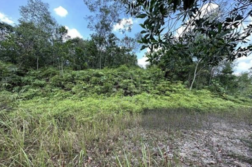 Housing Land at Bandar Sungai Long for Sale