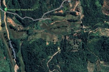 Raub 8acres Agri Land in Natural Condition