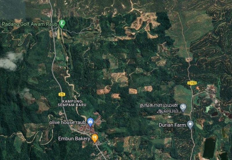 Raub 8acres Agri Land in Natural Condition