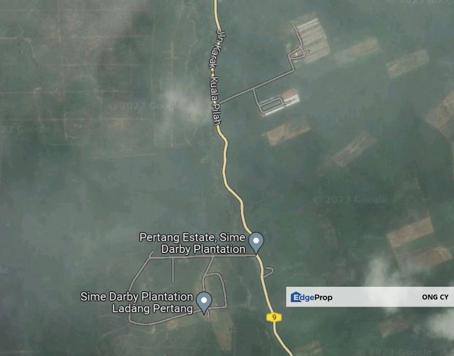 33.5 acres Durian Farm Negeri Sembilan, Negeri Sembilan, Jelebu