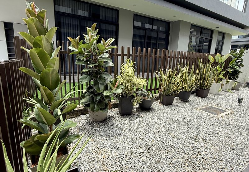 Grandezza @ Eco Sanctuary