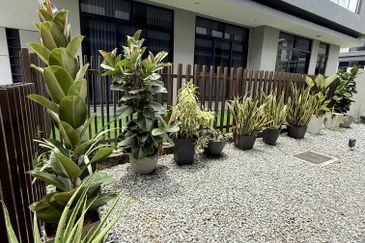 Grandezza @ Eco Sanctuary