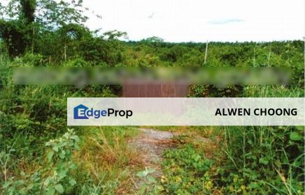 Bank Lelong Agricultural Land, Seberang Perai Utara: Lot 2217, Jalan Ekor Kucing, Daerah Seberang Perai Utara, Penang, Penang, Seberang Perai