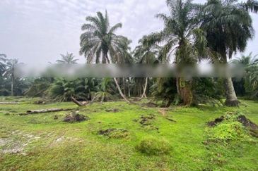 Agriculture Land @ Taiping