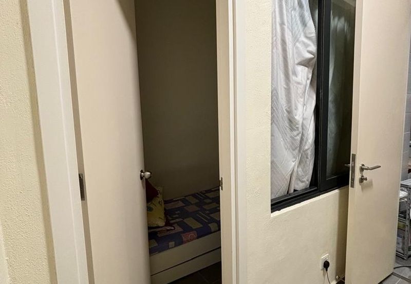 Concerto North Kiara