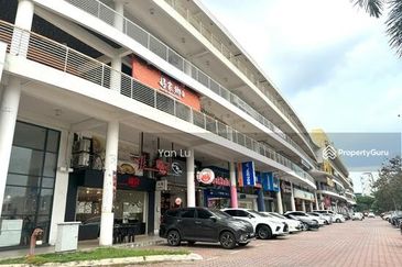 Platinum Mondrian (Pv128)