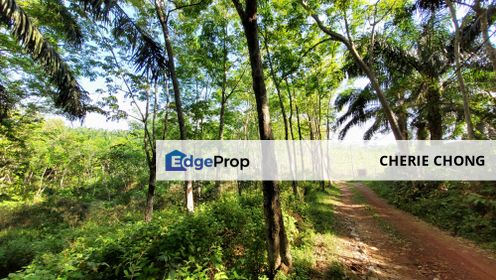 Freehold 2 Acres Agro Land for Sale , Perak, Kuala Kangsar