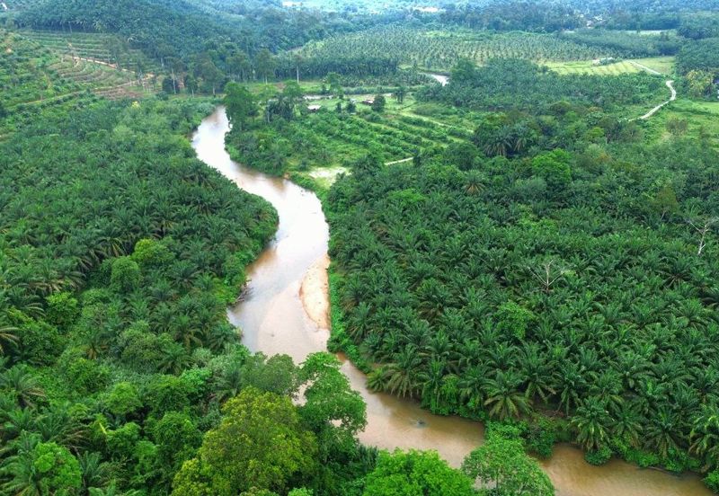 Slim Village Nice Agriculture Land for Sale 