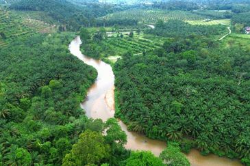 Slim Village Nice Agriculture Land for Sale 