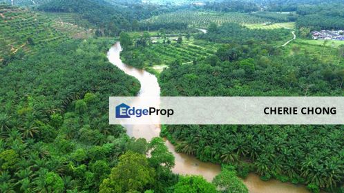 Slim Village Nice Agriculture Land for Sale , Perak, Tanjung Malim