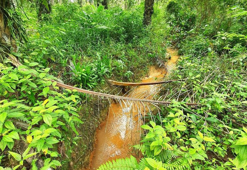 Slim Village Nice Agriculture Land for Sale 