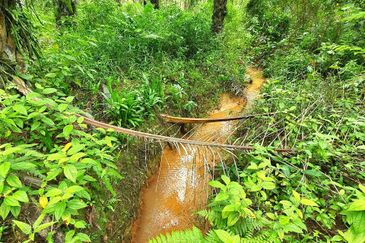 Slim Village Nice Agriculture Land for Sale 