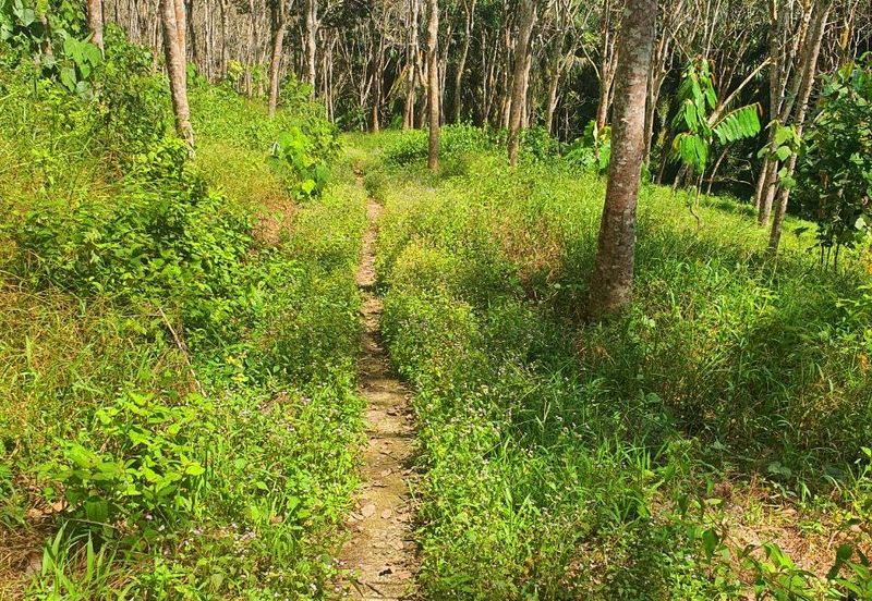 Sungai Siput Nice Agriculture Land for Sale 