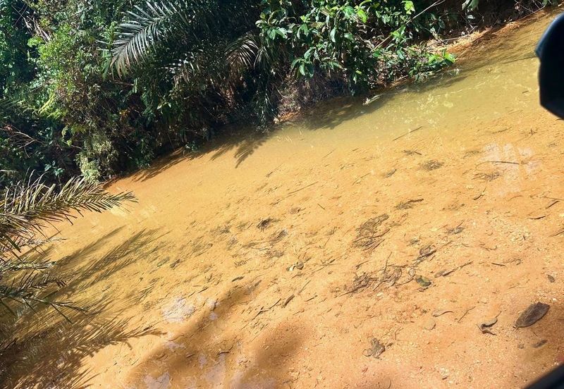 Bidor Nice Agriculture Land for Sale 