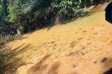 Bidor Nice Agriculture Land for Sale 