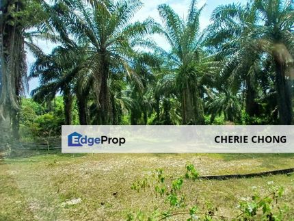 Gopeng Agriculture Land For Sale , Perak, Ipoh