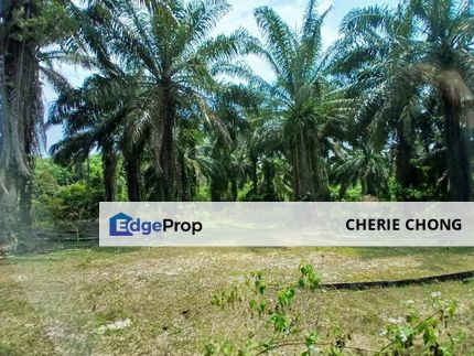 Gopeng Agriculture Land For Sale , Perak, Gopeng