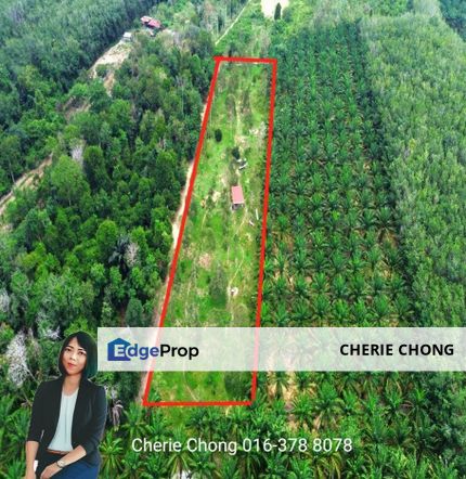 Kuala Kangsar Freehold Cheap, Value Buy Durian Farm For Sale , Perak, Ipoh