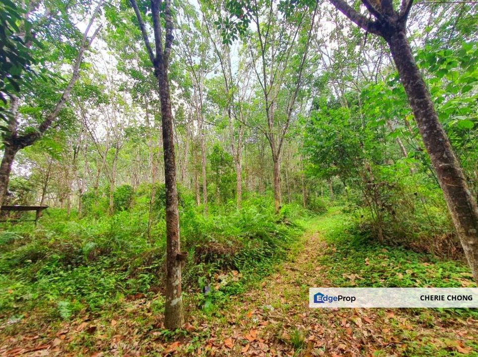 Kuala Kangsar Hot, High Potential Housing Development Land For Sale , Perak, Kuala Kangsar