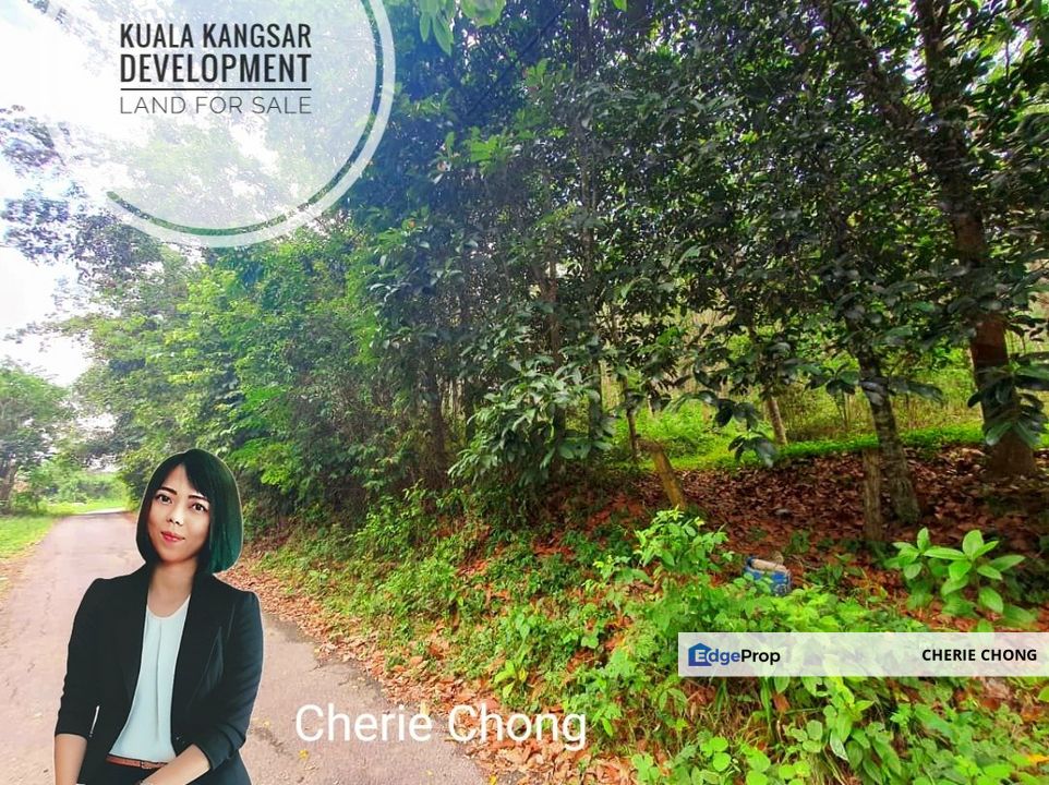 Kuala Kangsar Hot, High Potential Housing Development Land For Sale , Perak, Kuala Kangsar