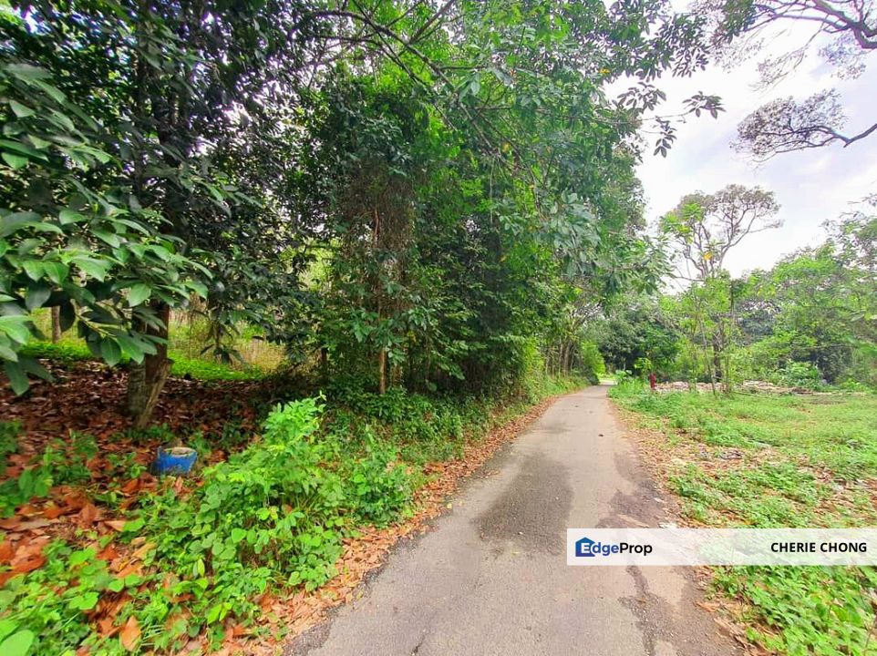 Kuala Kangsar Hot, High Potential Housing Development Land For Sale , Perak, Kuala Kangsar