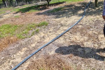 Kuala Kangsar, Manong Freehold Nice Durian Farm For Sale 