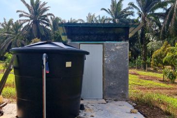 Kuala Kangsar, Manong Freehold Nice Durian Farm For Sale 