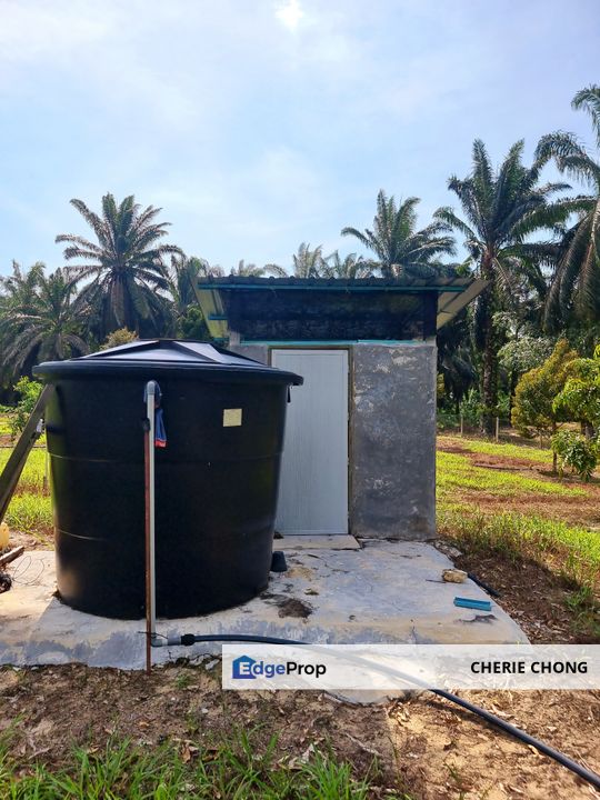 Kuala Kangsar, Manong Freehold Nice Durian Farm For Sale , Perak, Kuala Kangsar