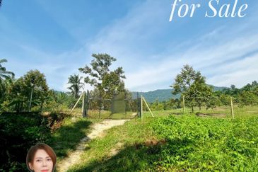Kuala Kangsar, Manong Freehold Nice Durian Farm For Sale 
