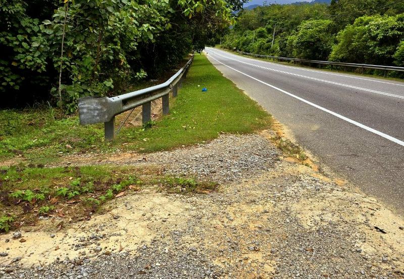 Kuala Kangsar, Kati Freehold Durian Farm For Sale 