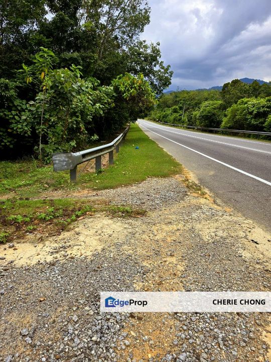 Kuala Kangsar, Kati Freehold Durian Farm For Sale , Perak, Kuala Kangsar