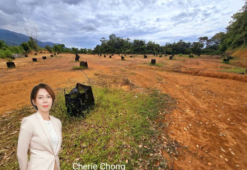 Kuala Kangsar, Kati Freehold Durian Farm For Sale 