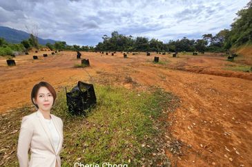 Kuala Kangsar, Kati Freehold Durian Farm For Sale 