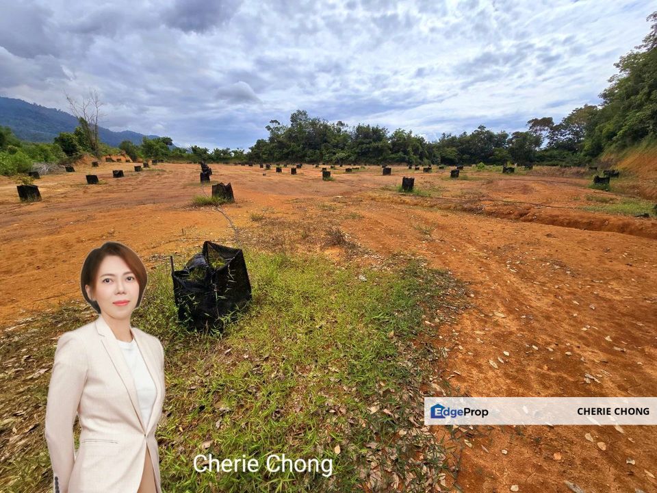 Kuala Kangsar, Kati Freehold Durian Farm For Sale , Perak, Kuala Kangsar