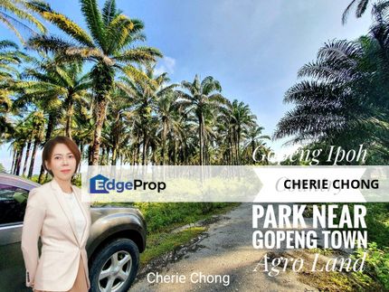 Gopeng Ipoh Country Park Near Gopeng Town 1 Acre Agriculture Land , Perak, Gopeng