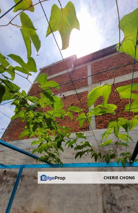 Rare Investment Sungai Siput 150 Acres Freehold Prime Agricultural Land With Complete Irrigation System & Secure Fencing , Perak, Kuala Kangsar