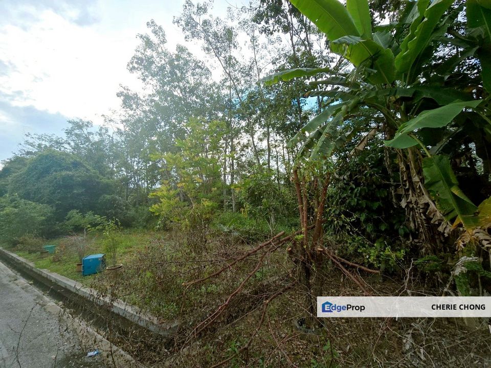 Kuala Kangsar Prime Freehold Land Residential Zone Near University Sultan Azlan Shah Perfect For Housing Development & Investment , Perak, Ipoh