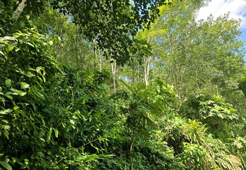 Kuala Kangsar Prime Freehold Development Land Nearby University Azlan Shah Best For Investment 