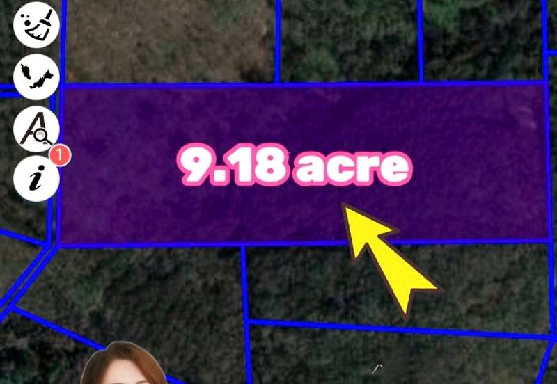 Kuala Kangsar Prime Freehold Agriculture Land Suitable For Durian Cultivation 