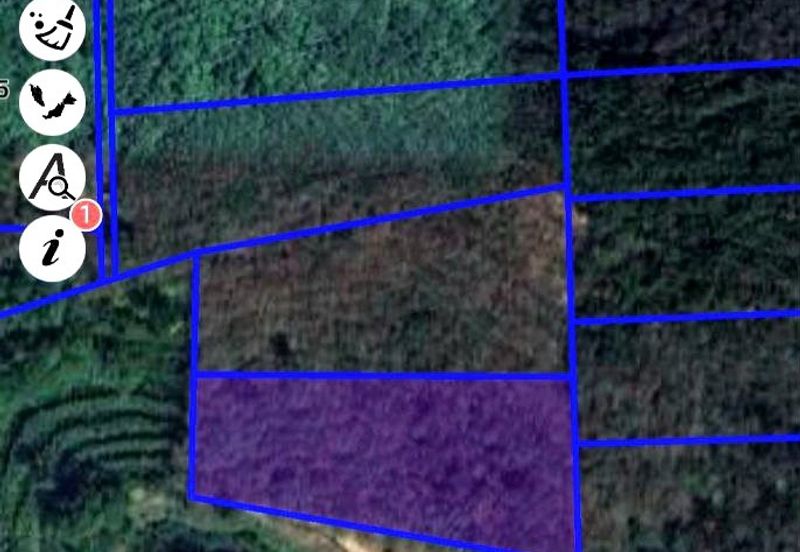 Kuala Kangsar Liman Kati Freehold Agricultural Land With Rubber & Durian 