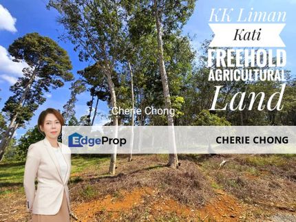 Kuala Kangsar Liman Kati Freehold Agricultural Land With Rubber & Durian , Perak, Kuala Kangsar