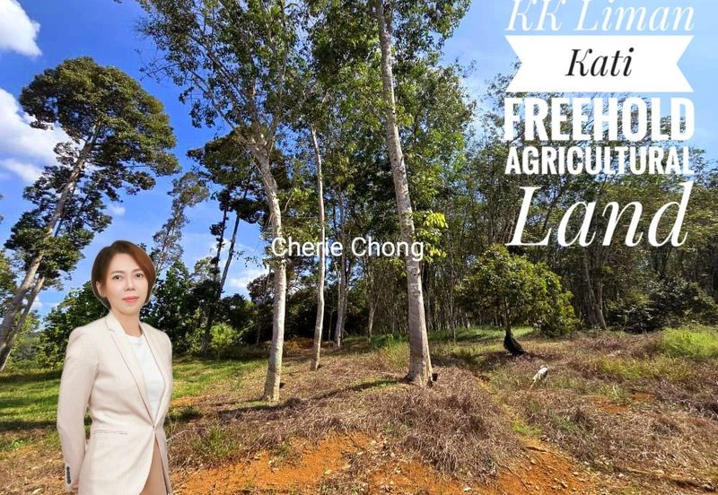 Kuala Kangsar Liman Kati Freehold Agricultural Land With Rubber & Durian 