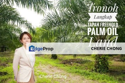 Tronoh Freehold Palm Oil Agricultural Land Access To Langkap Tapah , Perak, Tronoh