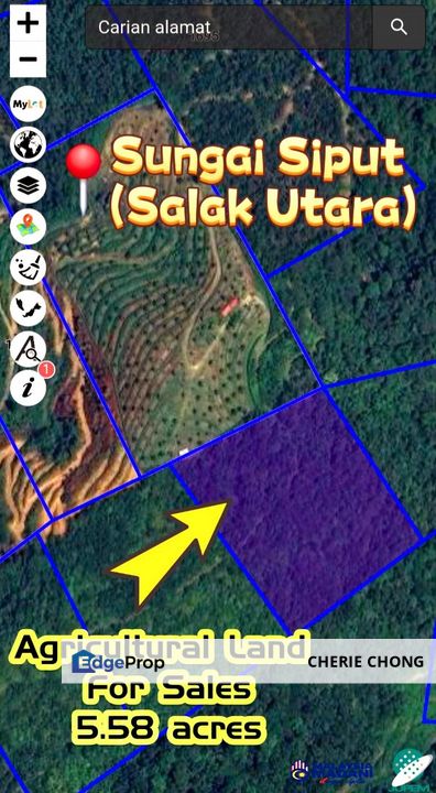 Sungai Siput Salak Utara Freehold Agriculture Land , Perak, Kuala Kangsar