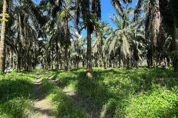 Kawasan Perindustrian Kanthan