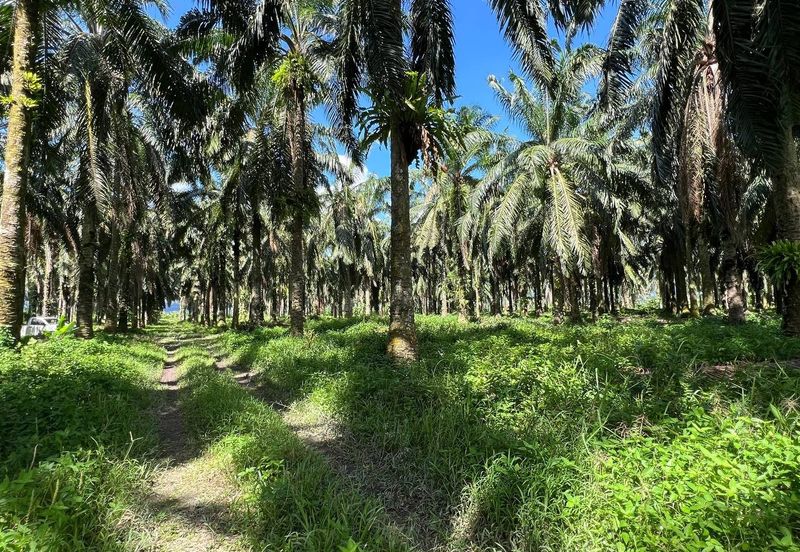 Kawasan Perindustrian Kanthan