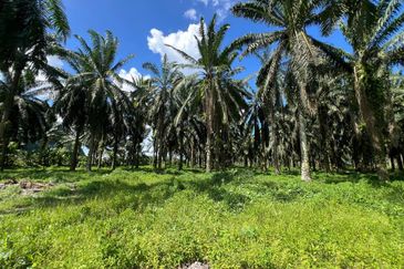 Kawasan Perindustrian Kanthan