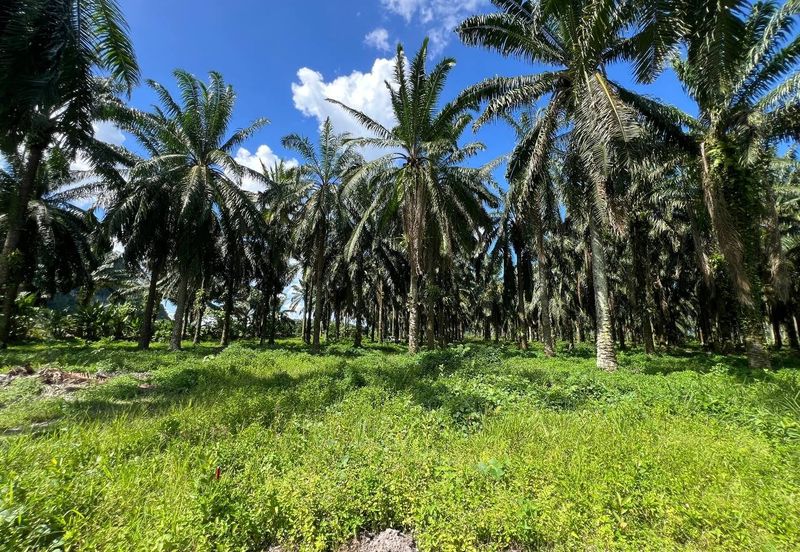 Kawasan Perindustrian Kanthan