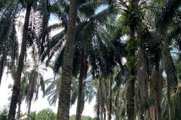 Kawasan Perindustrian Kanthan